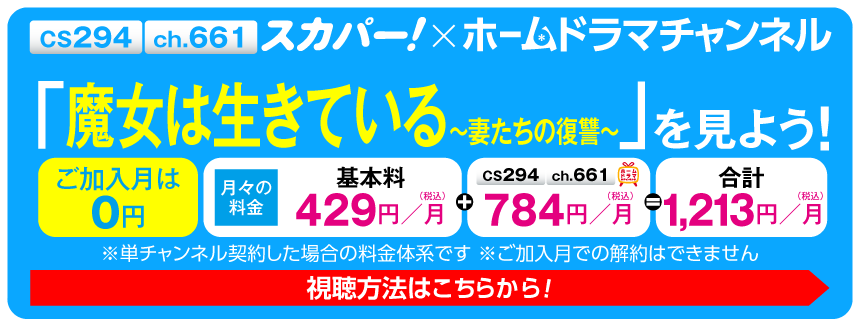 スカパー！で「魔女は生きている～妻たちの復讐～（日本語字幕版）」を見よう！