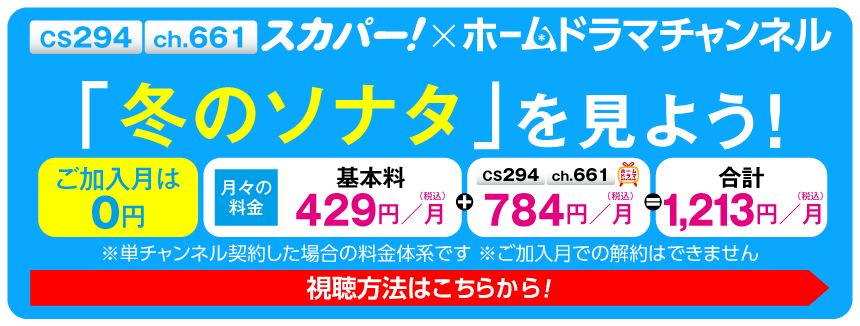 スカパー！で「冬のソナタ」を見よう！