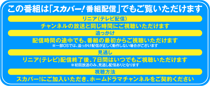 視聴のお申込みは今すぐこちらから! |「PENTAGON 2022 LIVE IN JAPAN ～Feelin’ Like～」特設サイト ｜ホームドラマチャンネル