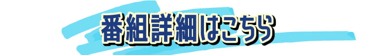 番組詳細はこちらから | ビッグスペシャル特設サイト|ホームドラマチャンネル