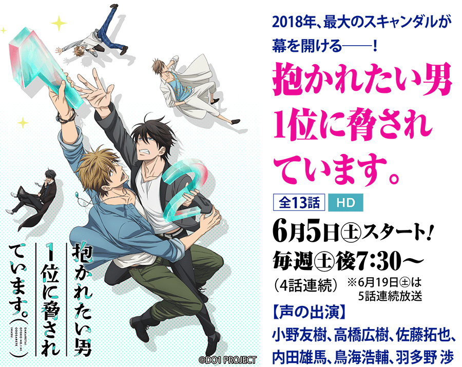 Blアニメ テレビ放送