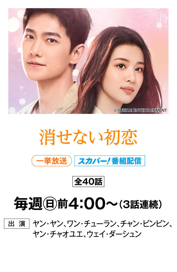 消せない初恋 | 「華流 最新ラインアップ」特設サイト｜ホームドラマチャンネル