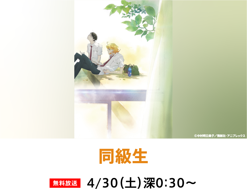 同級生 | 「GWイッキに見せます!7days」特設サイト|ホームドラマチャンネル