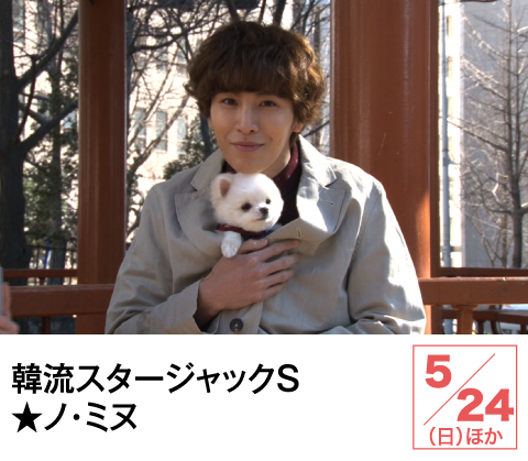 韓流スタージャックＳ★ノ・ミヌ | ホームドラマチャンネル