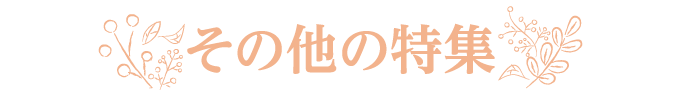 その他の特集 | 【連続企画】堀ちえみデビュー40周年プラス１特集 ｜ホームドラマチャンネル