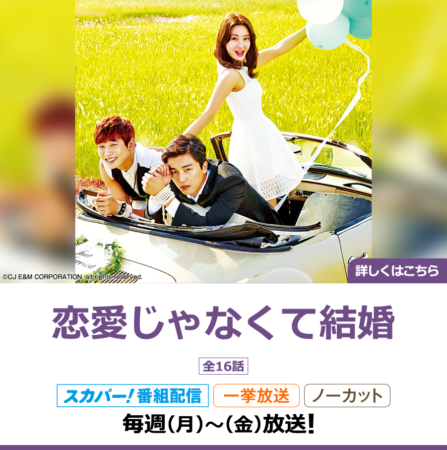 恋愛じゃなくて結婚｜ホームドラマチャンネル