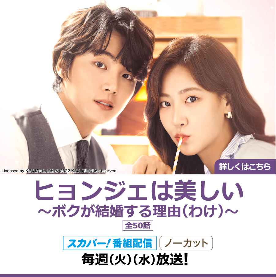 ヒョンジェは美しい～ボクが結婚する理由(わけ)～