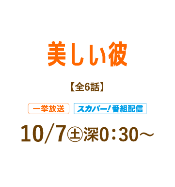 美しい彼 | 「人気俳優出演ドラマ一挙見SP」特設サイト｜ホームドラマチャンネル