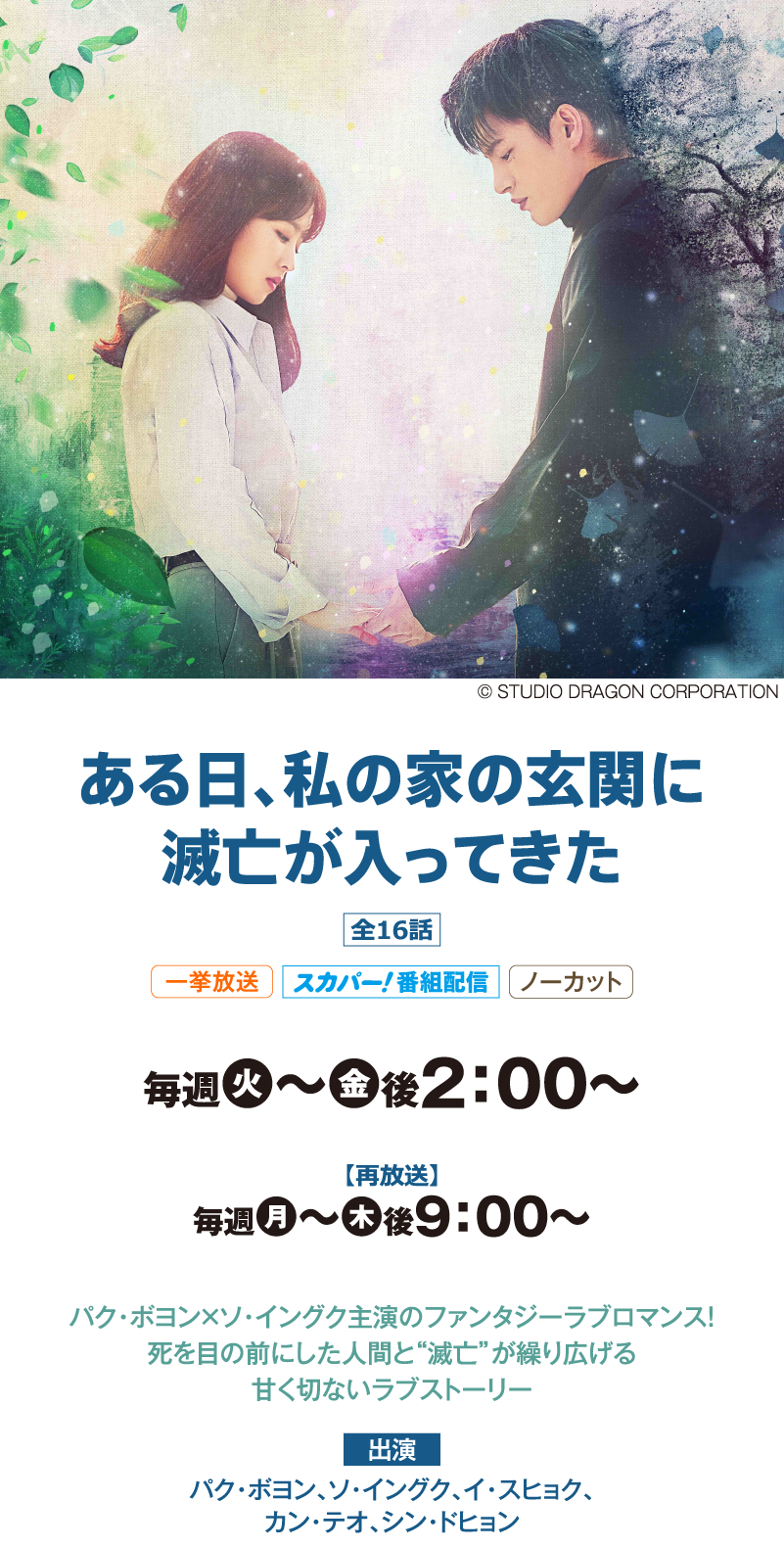 ある日、私の家の玄関に滅亡が入ってきた｜『ソ・イングク;セレクション』特設サイト｜ホームドラマチャンネル